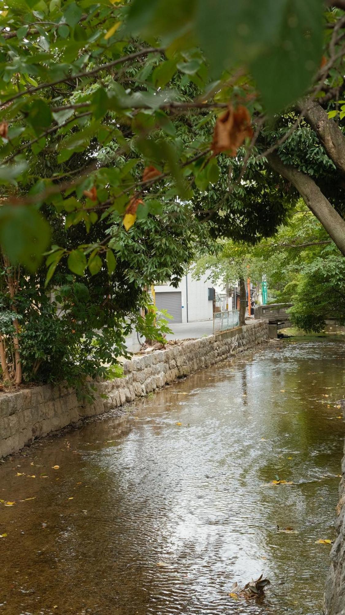 דירות קיוטו 初音 מראה חיצוני תמונה